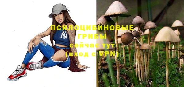 тгк Липки