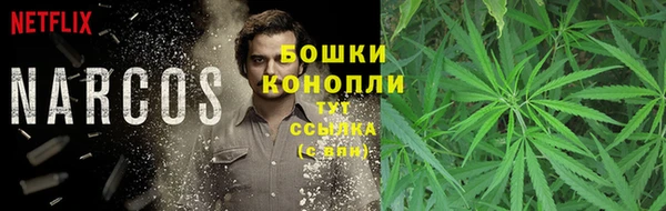 apvp Лиски